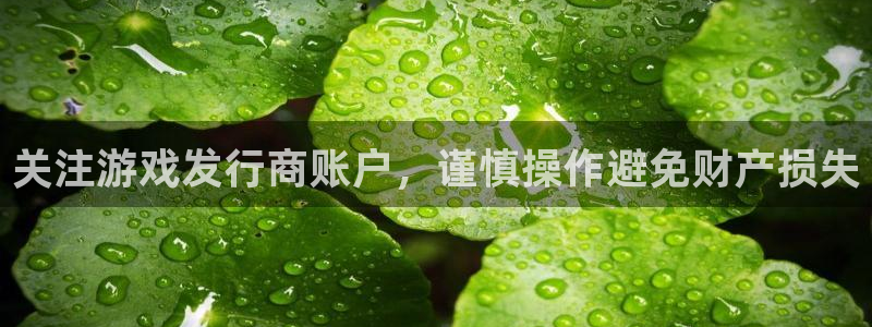 im电竞实业投资(东莞)有限公司：关注游戏发行商账户，谨慎操作避免财产损失