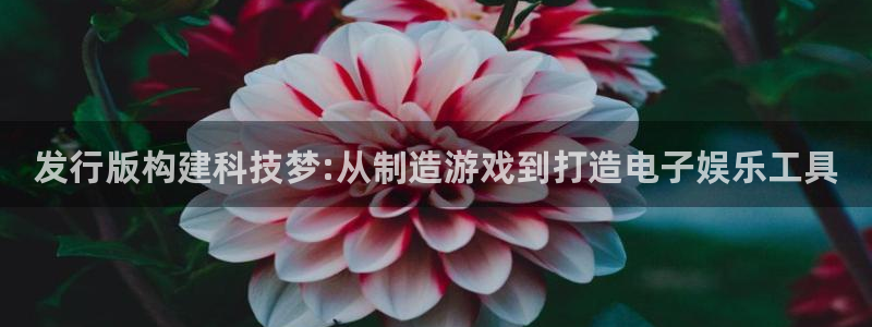 im电竞官网登录注册账号是什么意思：发行版构建科技梦:从制造游戏到打造电子娱乐工具