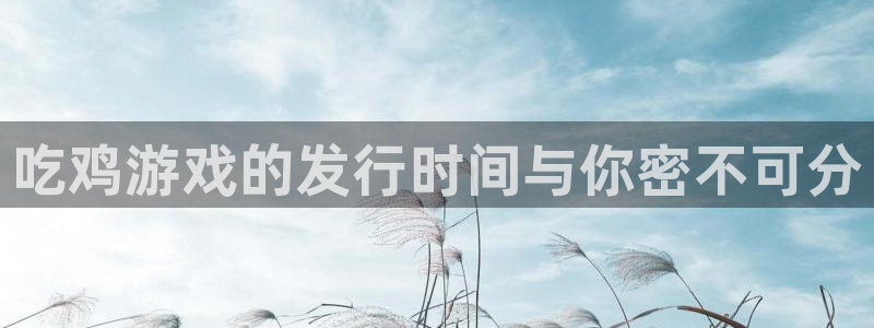 im电竞官网注册方法有哪些：吃鸡游戏的发行时间与你密不可分