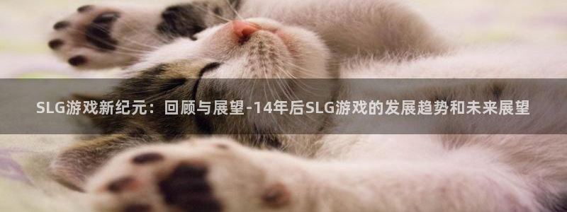 im电竞子图片高清图片