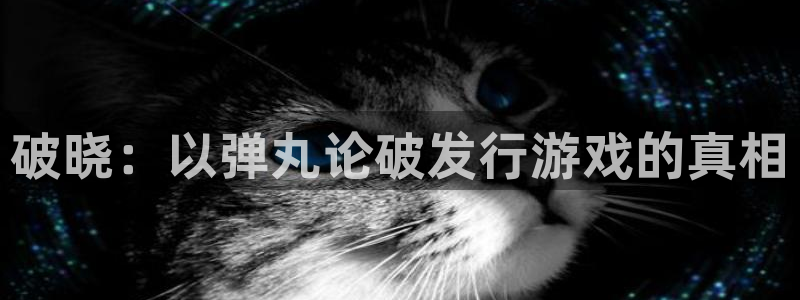 im电竞电子商务有限公司