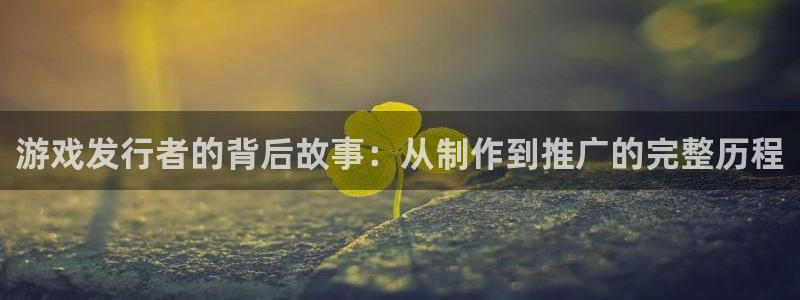 广州im电竞网络科技有限公司怎么样