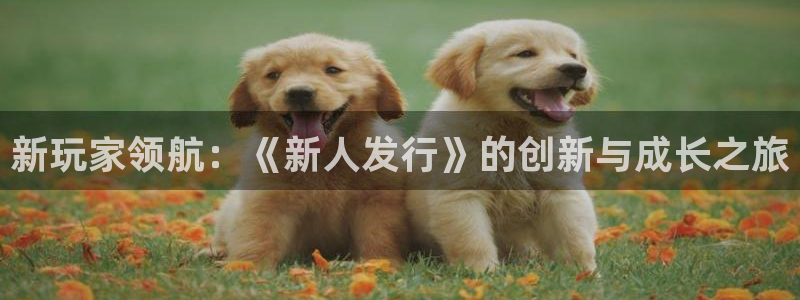 im电竞品牌策划团队介绍：新玩家领航：《新人发行》的创新与成长之旅