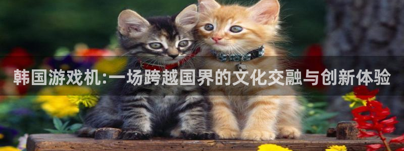 im电竞价格：韩国游戏机:一场跨越国界的文化交融与创新体验