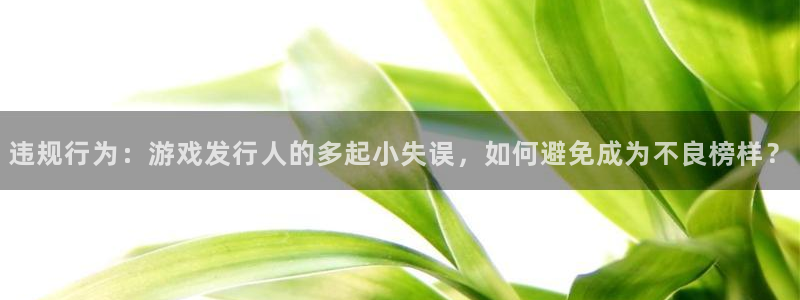im电竞子怎么样：违规行为：游戏发行人的多起小失误，如何避免成为不良榜样？