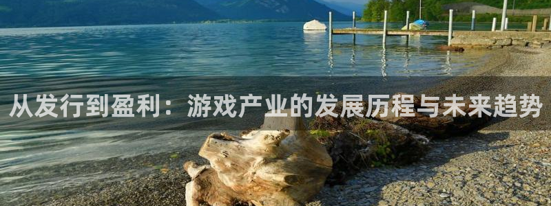 im电竞官网登录注册账号失败：从发行到盈利：游戏产业的发展历程与未来趋势