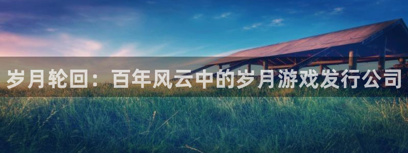 im电竞多少钱：岁月轮回：百年风云中的岁月游戏发行公司