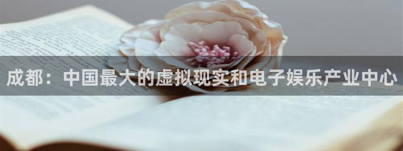 im电竞官网开户待遇：成都：中国最大的虚拟现实和电子娱乐产业中心