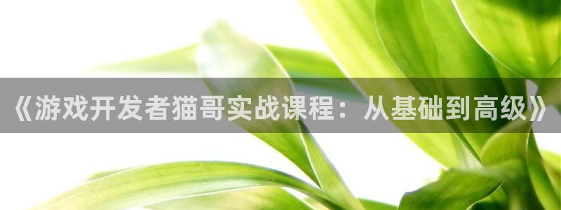 im电竞子写作课
