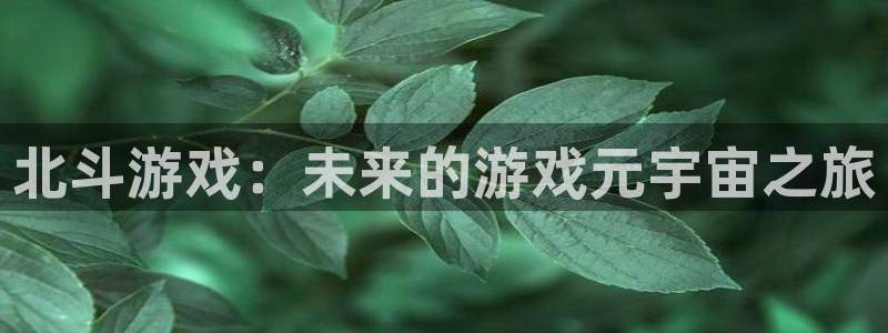 im电竞官网注册方法是什么意思：北斗游戏：未来的游戏元宇宙之旅