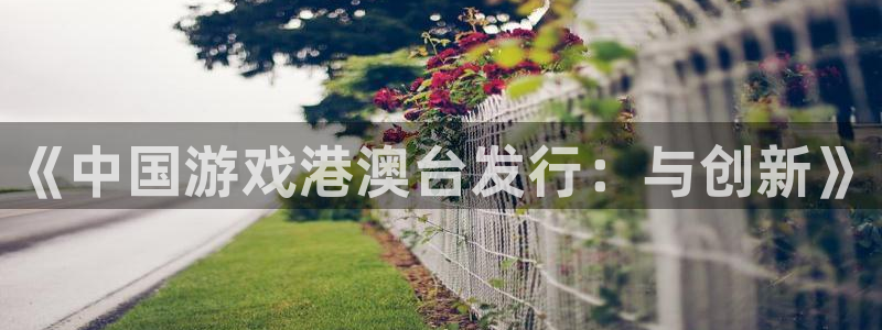 im电竞官网注册平台是什么意思：《中国游戏港澳台发行：与创新》