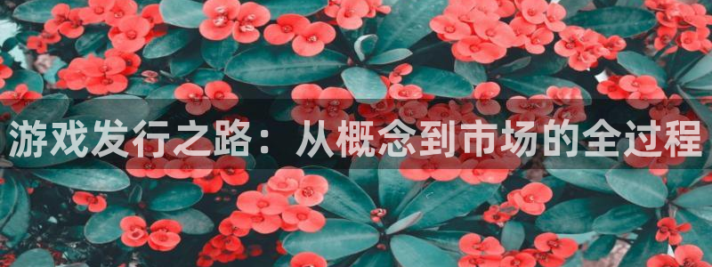 lvncesim电竞衣服价格：游戏发行之路：从概念到市场的全过程
