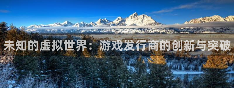 im电竞官网客服电话是多少：未知的虚拟世界：游戏发行商的创新与突破