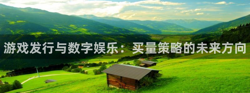im电竞官网游戏平台高奖金玩法：游戏发行与数字娱乐：买量策略的未来方向