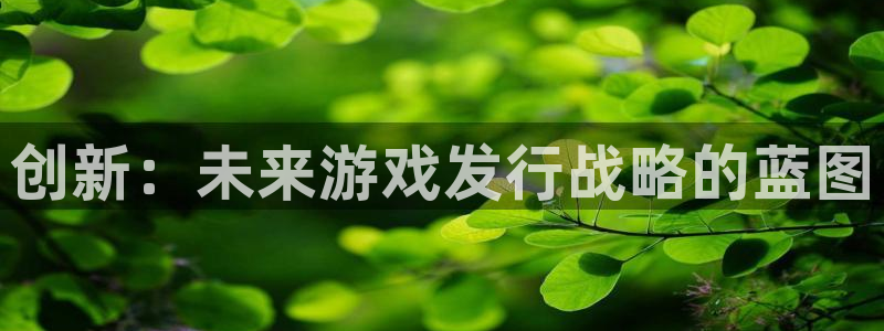 江苏im电竞智得：创新：未来游戏发行战略的蓝图