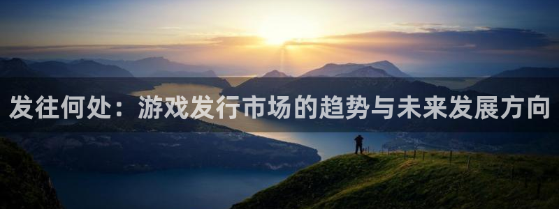 im电竞logo：发往何处：游戏发行市场的趋势与未来发展方向