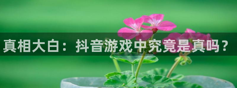 广州im电竞网络科技有限公司电话