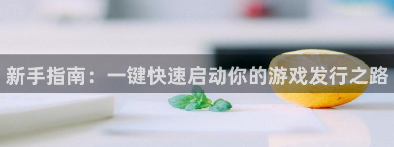 im电竞官网注册方法视频下载：新手指南：一键快速启动你的游戏发行之路