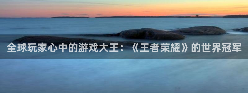 im电竞子公司怎么样