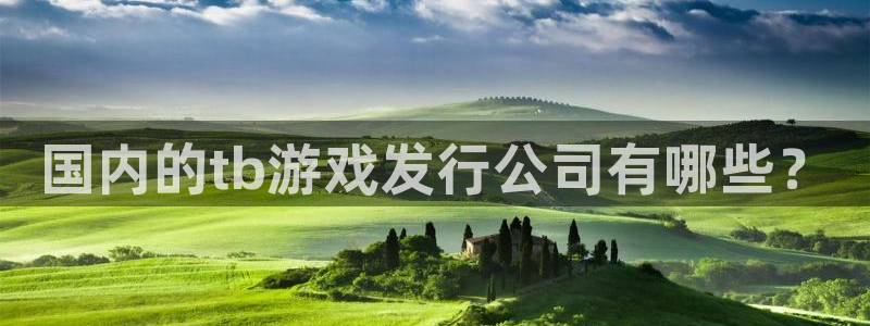 im电竞官网分分彩：国内的tb游戏发行公司有哪些？