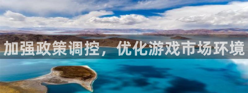 im电竞子小说：加强政策调控，优化游戏市场环境