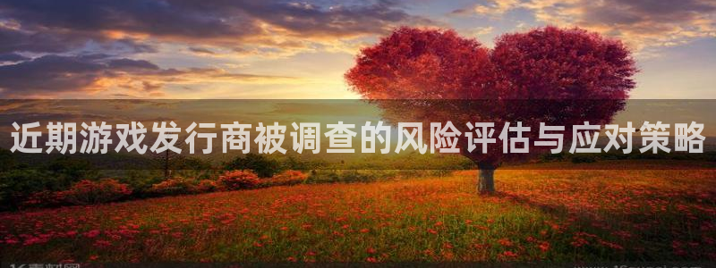 im电竞官网登录注册账号是什么