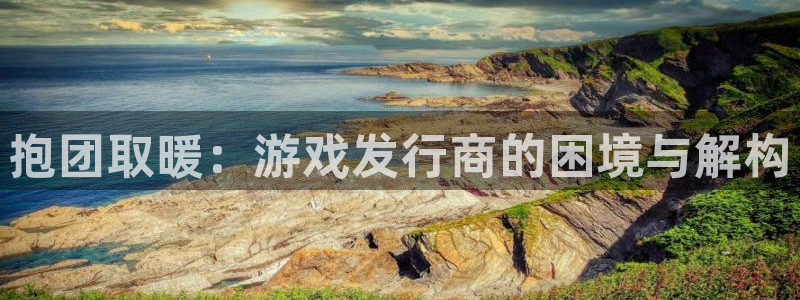 im电竞官网平台代理开号流程：抱团取暖：游戏发行商的困境与解构