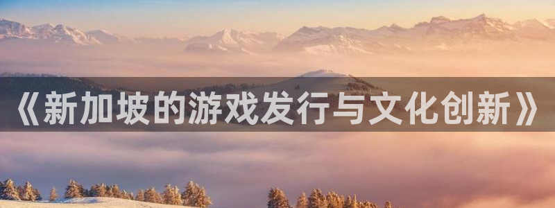 im电竞官网注册平台官网登录