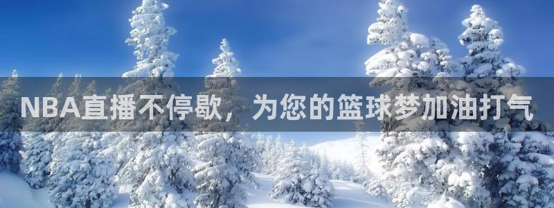 五星体育巴林f1直播在线观看：NBA直播不停歇，为您的篮球梦加油打气