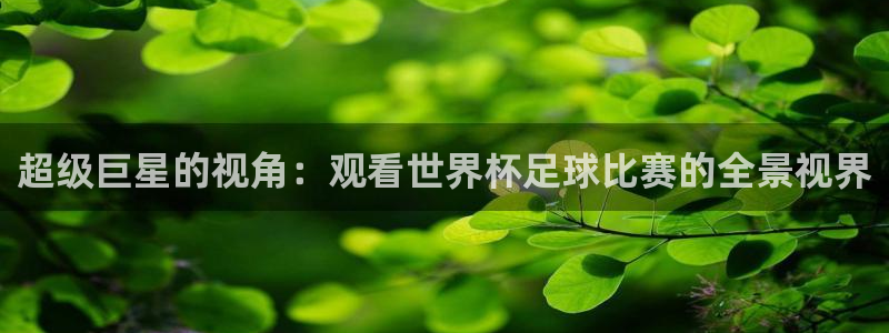 上海五星体育三打一：超级巨星的视角：观看世界杯足球比赛的全景视界