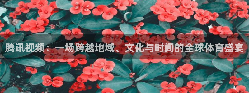 五星体育卫星直播