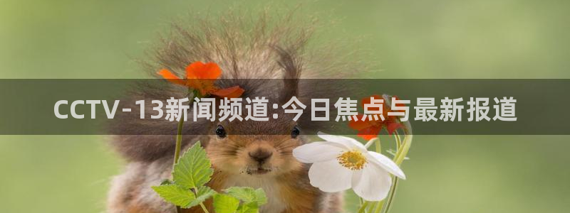 五星体育在线直播网球