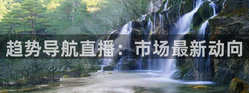 五星体育在线直播f1