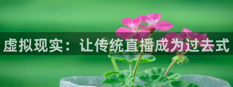 上海五星体育直播节目表：虚拟现实：让传统直播成为过去式