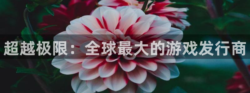 im电竞官网客服怎么样：超越极限：全球最大的游戏发行商