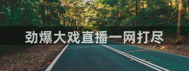 360五星体育在线直播：劲爆大戏直播一网打尽