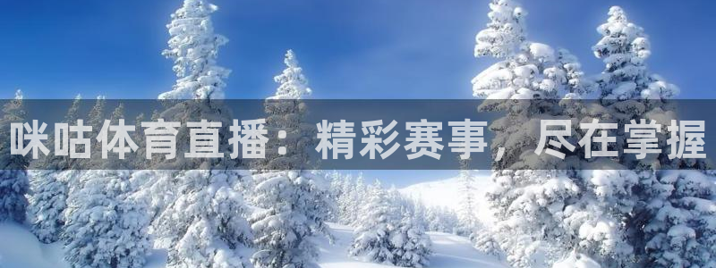 五星体育张效玮几岁：咪咕体育直播：精彩赛事，尽在掌握