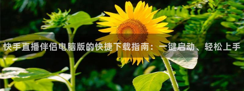 五星体育直播官网：快手直播伴侣电脑版的快捷下载指南：一键启动、轻松上手